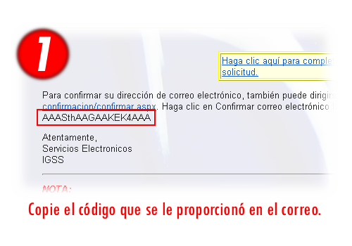Paso 1: Copie el c�digo que se le proporcion� en el correo
