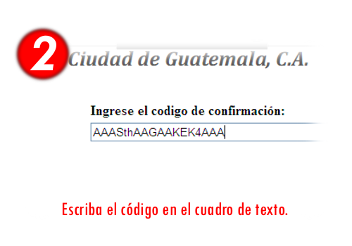 Paso 2: Escriba el c�digo en el cuadro de texto